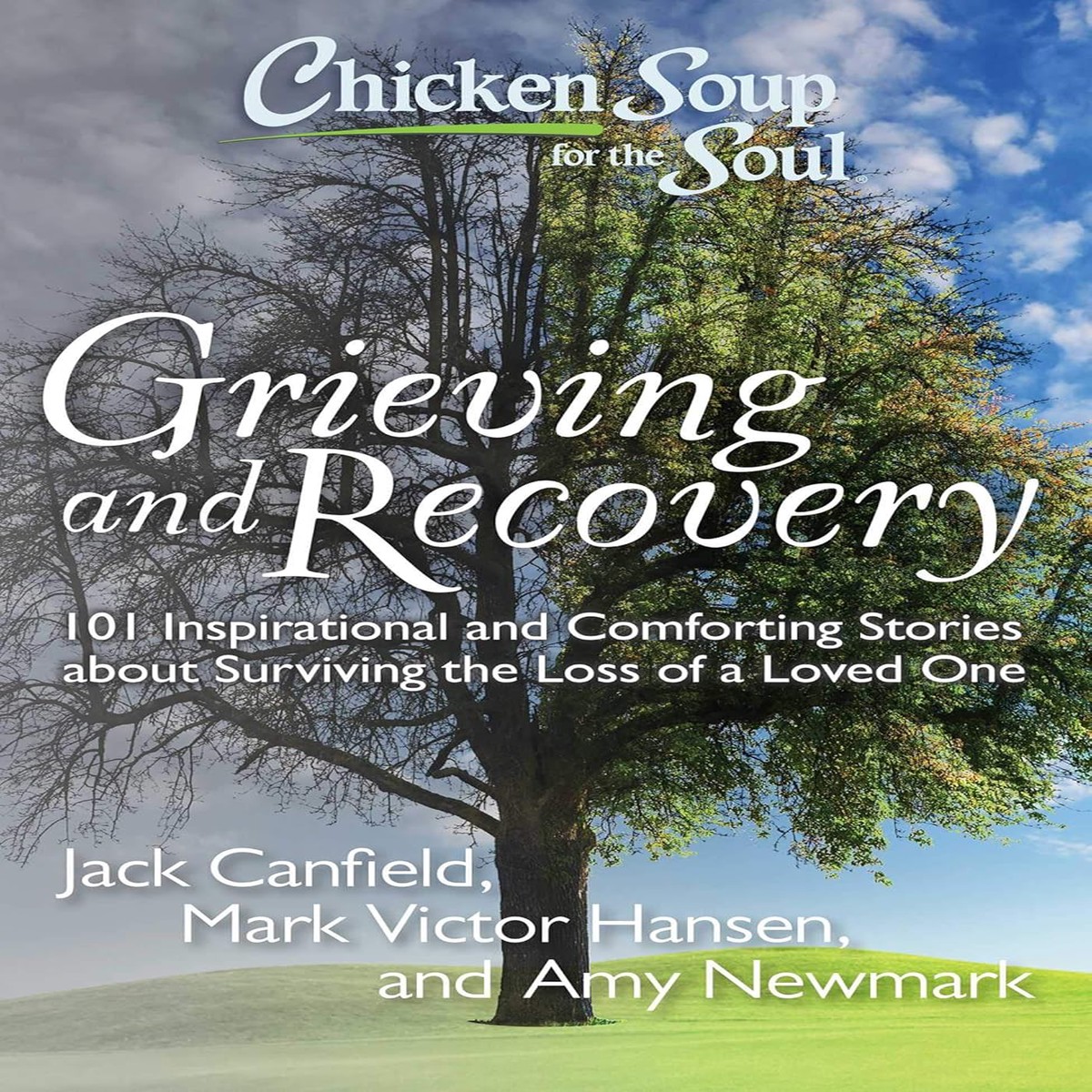 ^Chicken Soup for the Soul: Grieving and Recovery